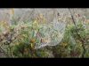 DOING PLAY EXPO 2014 – Day 02 (interpliced realtime with Edale)