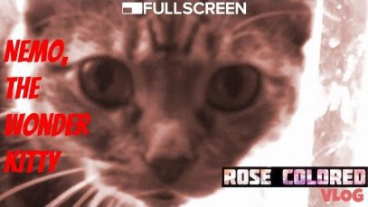 Nemo, The Wonder Kitty | Rose Colored VLOG