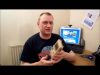 Retro Waffle – Package From Infected Flinch & Gameboy Restoration