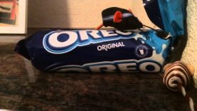 The Mystery Of The Missing Oreos…