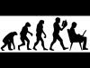 Toilet Thursday – The EVOlution Style