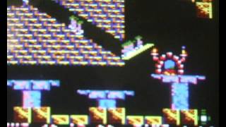 Amstrad Lemmings Bug!