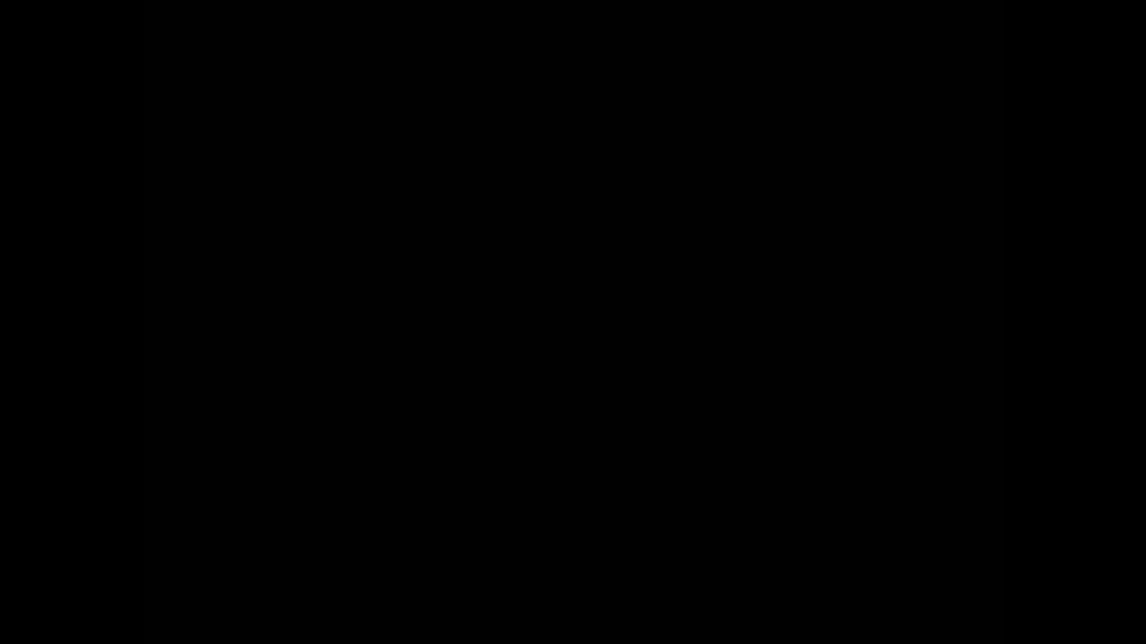 widescreen test