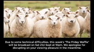 Technical Difficulties – The Friday Waffle.