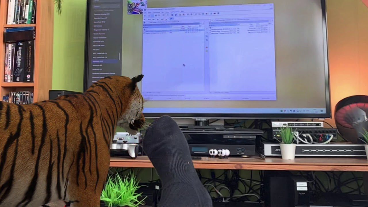 Strange happenings in the gameroom… Eberhard the levitating Panda!
