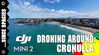Droning Around: Cronulla