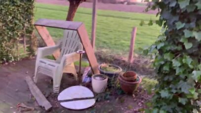 Good morning February 13th 2022 – chilling in the chilly backyard
